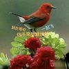 王哥听歌开心每一天的头像