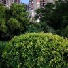 贵在参与的头像