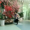 萍水相逢的头像