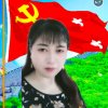 花好月圆(暂退’)的头像