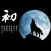 苍狼啸四方的头像