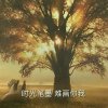 King想唱。的头像