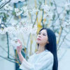 武当女侠的头像