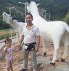 乐在其中(江夏黄)的头像