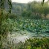 暖阳的头像
