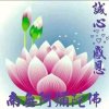 清水轮回的头像