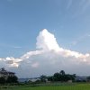 清河的头像