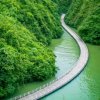 雨露珍珠的头像