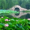 快乐人生的头像