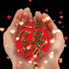 不忘初心的头像
