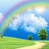 雨后彩虹的头像