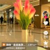 宏相东边日出西边雨的头像