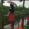 ༄ ᭄ꦿ紫懜攣鯹 ༄ ᭄ꦿ的头像