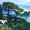 刘长松的头像