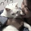 @辰.的头像
