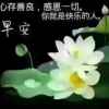 安然的头像