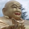一见如梦的头像