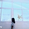 何必在意的头像