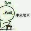 白礼6的头像