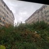 南柯的头像