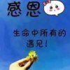 依然恋雪的头像