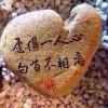 随缘的头像