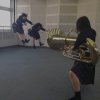 折枝的头像