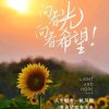 向阳花的头像
