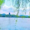 佤積的头像
