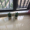 君莫笑的头像