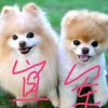 宜军的头像