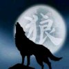 A孤A狼A的头像