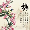 梅花魂的头像