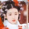 半落梨花的头像