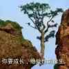 人生如此的头像