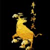 筝一帘悠梦的头像