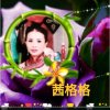 茜格格的头像