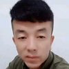 王晓歌的头像