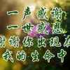 今生有你的头像