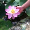 四爷，横行霸道。的头像