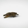 独狼的头像