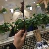 遇撑 装许仙的头像