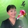 情哥⑨六月清荷的头像