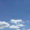 小叶的头像