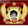 飘叶家族月季花开的头像