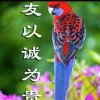 开心-秋韵的头像