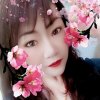 艳姐的头像