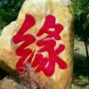 情为何物的头像