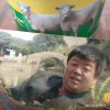 杨旺的头像