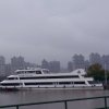舒心的头像